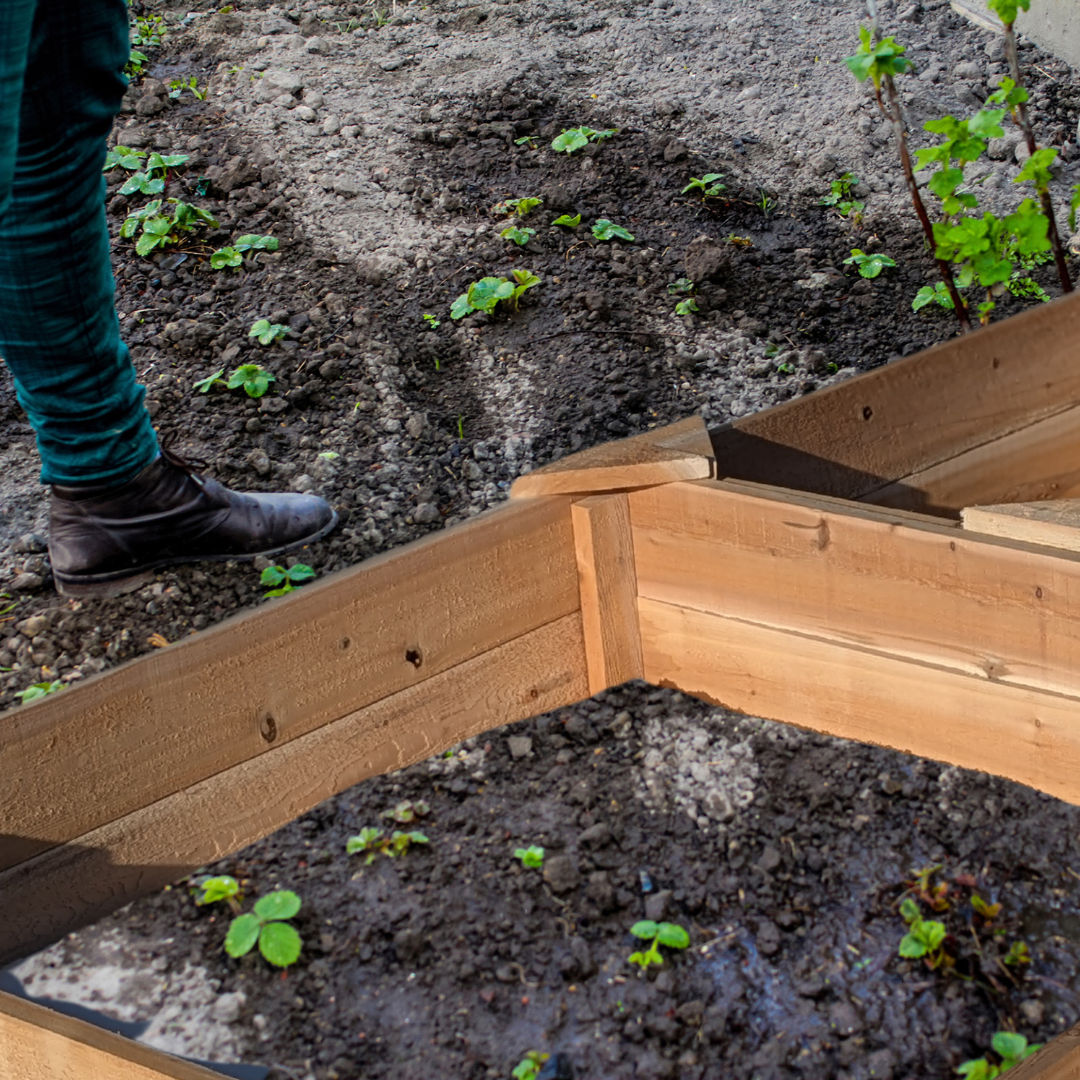 4'x8' Raised Cedar Garden Bed
