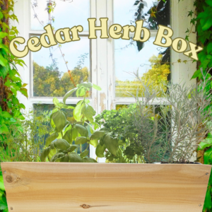 Cedar Herb Box